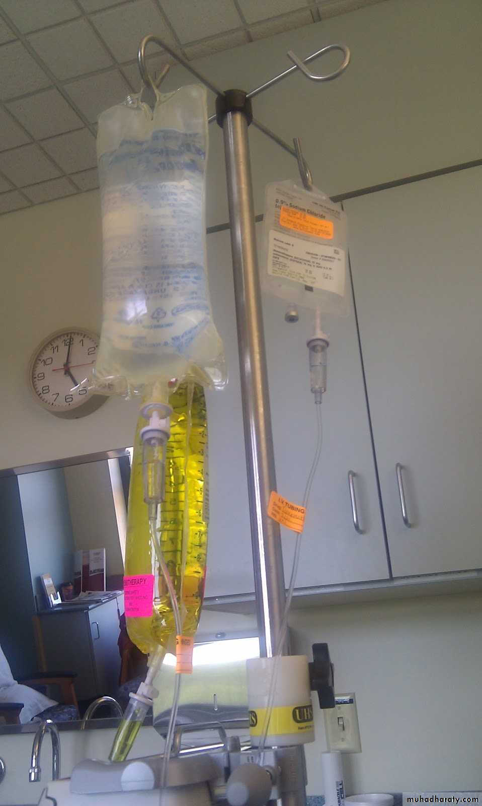 Hematology