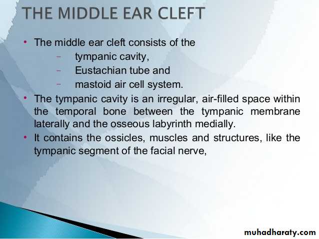 Anatomy_الفصل الثاني