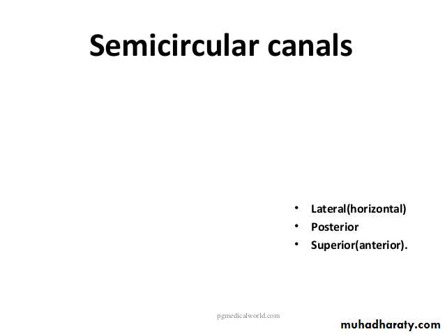 Anatomy_الفصل الثاني