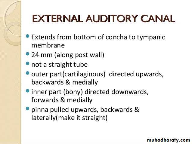Anatomy_الفصل الثاني