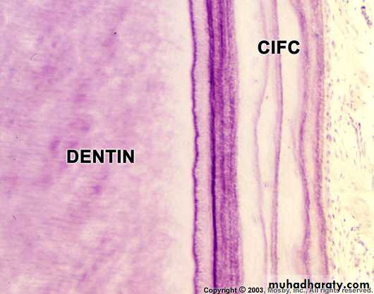 Oral histology