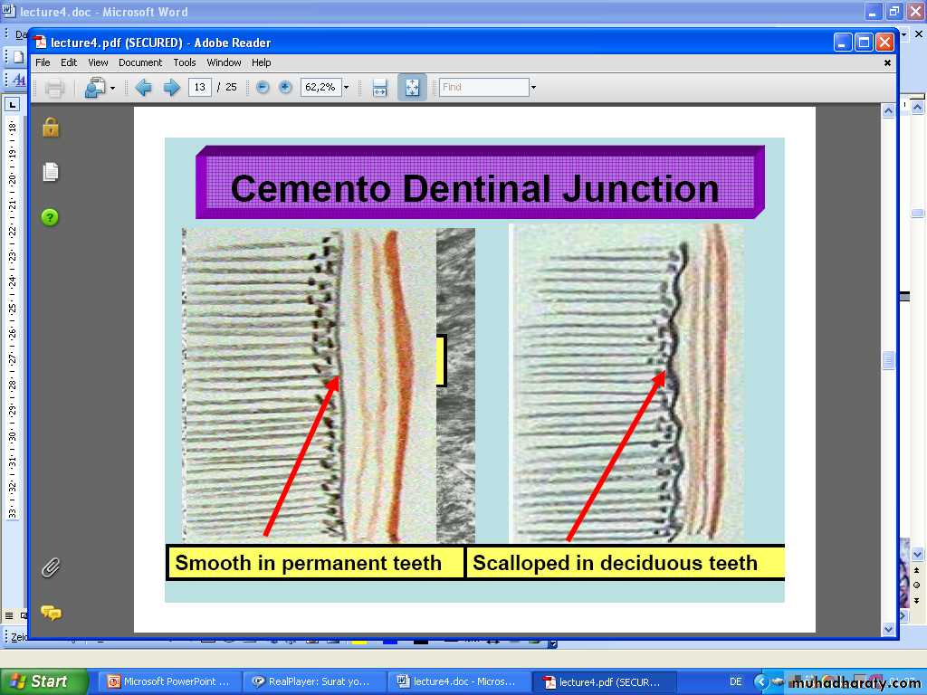 Oral histology