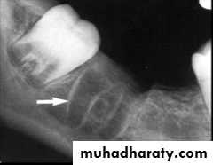 Oral histology