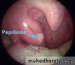 benign tumor and tumor like lesion