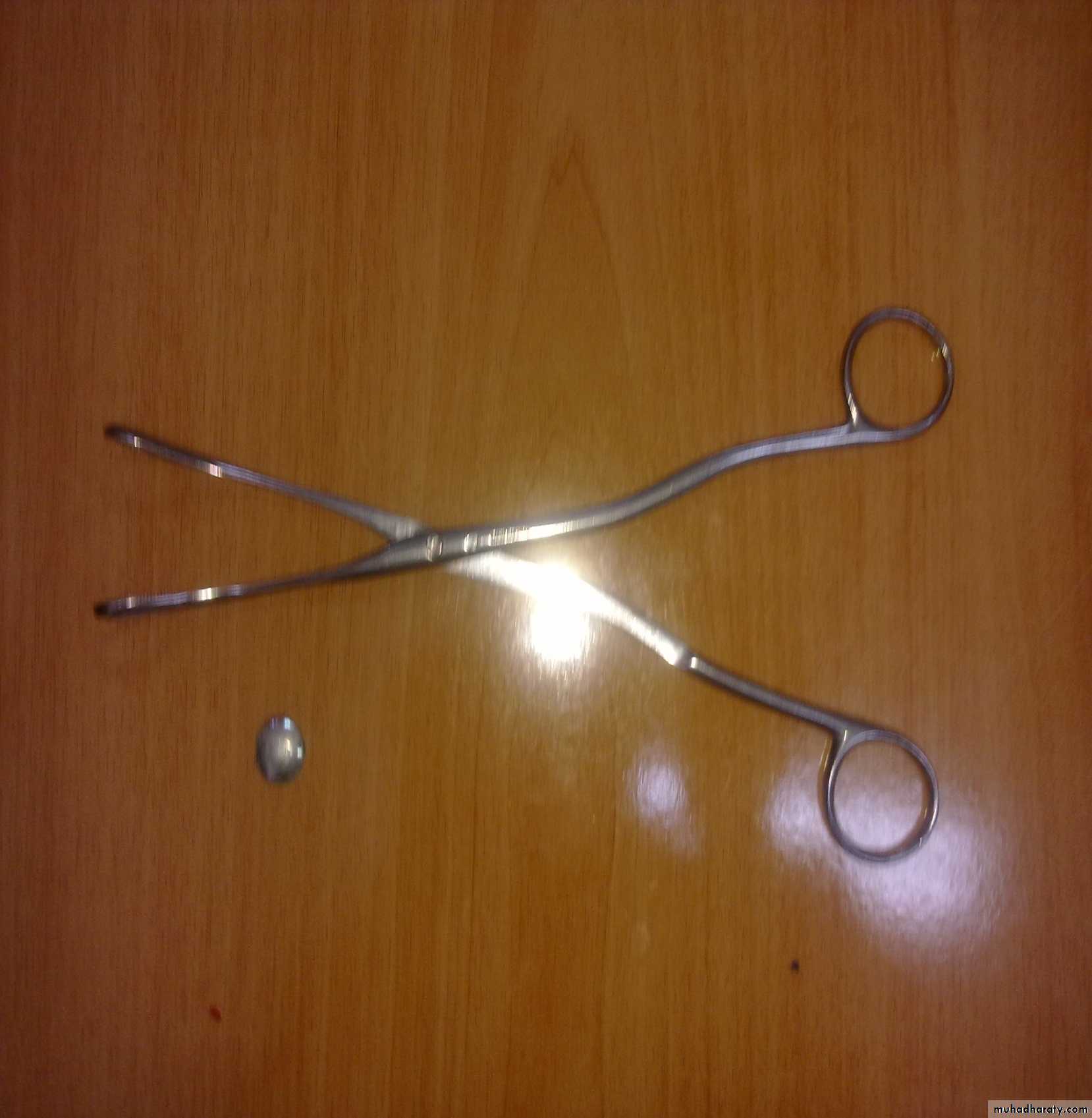 Gynecological and Obstetric Instruments