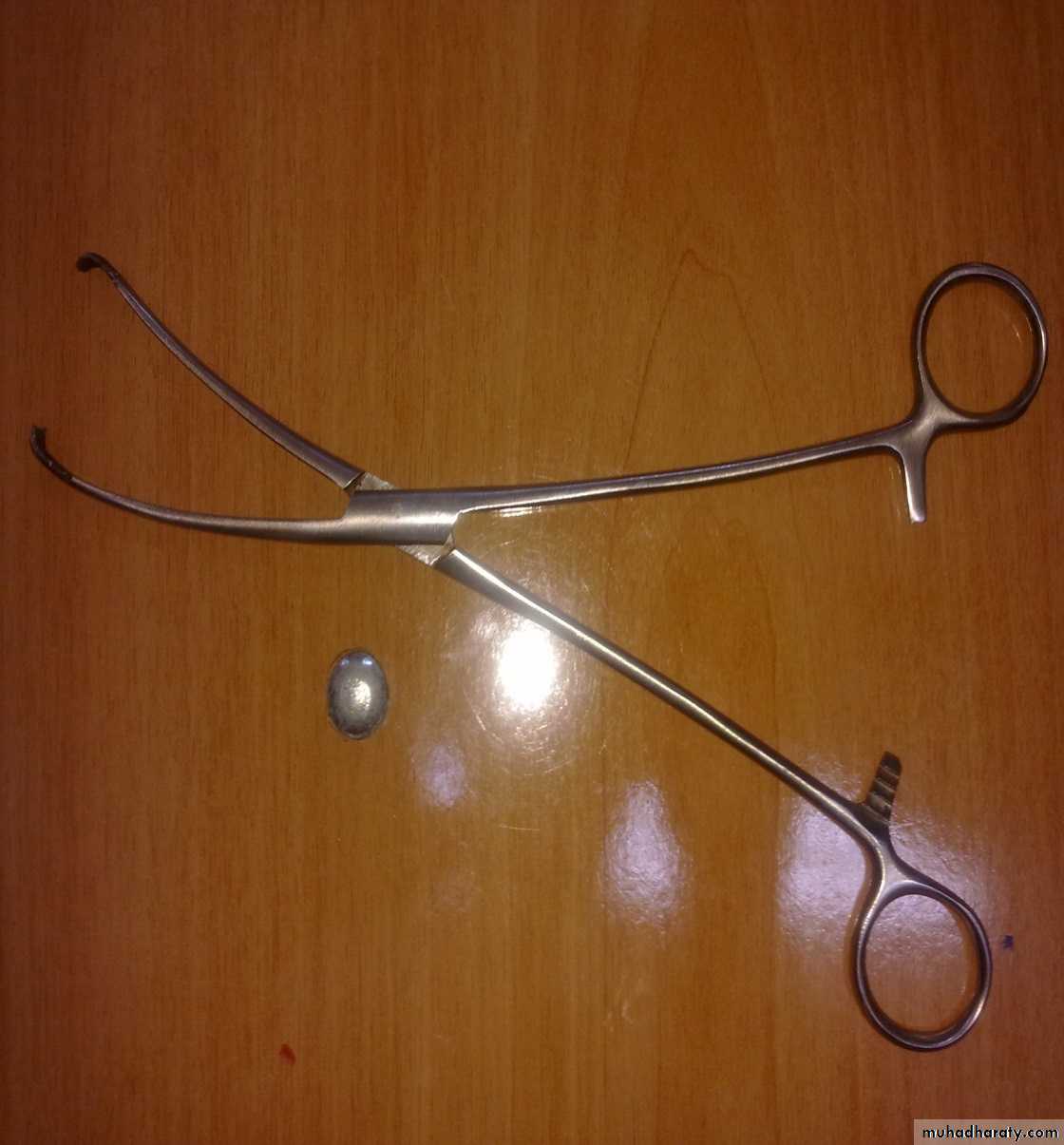 Gynecological and Obstetric Instruments