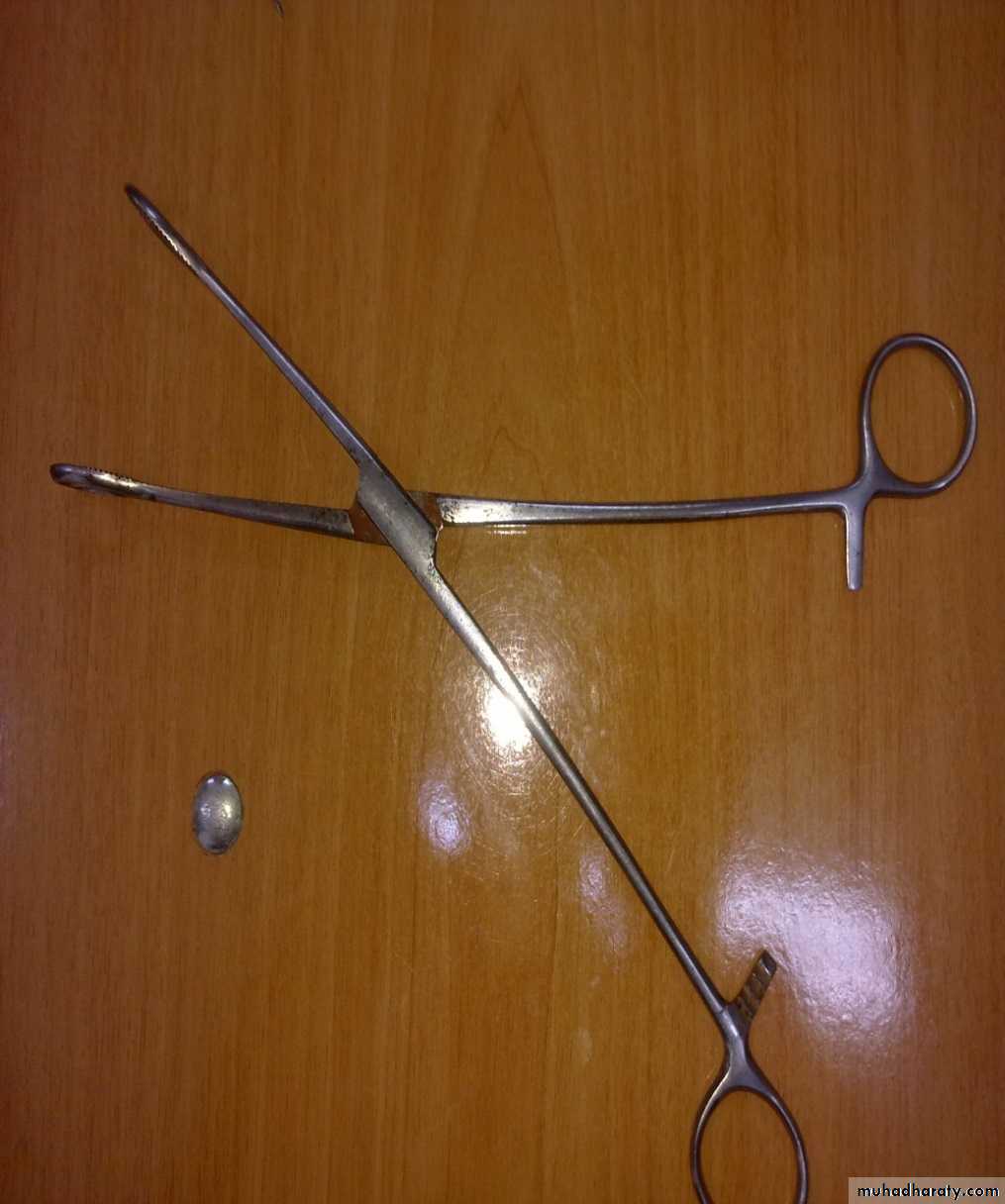 Gynecological and Obstetric Instruments