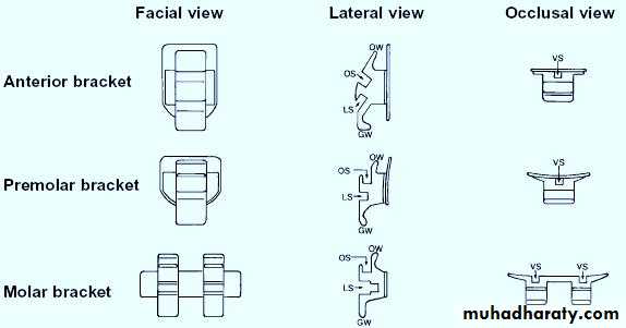 lingual orthodontic