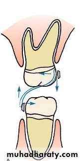 adult orthodontics LEC