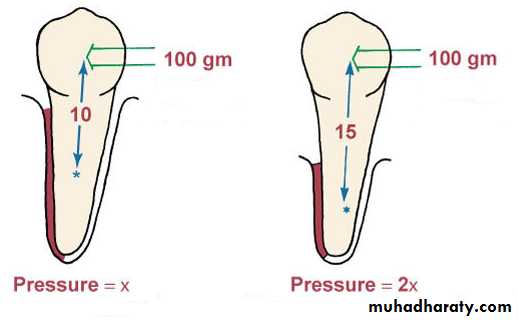 adult orthodontics LEC