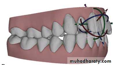adult orthodontics LEC