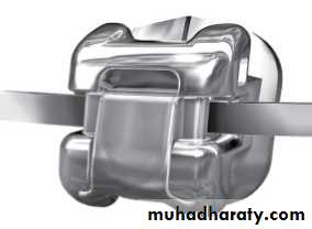 adult orthodontics LEC
