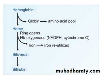 bilirubin
