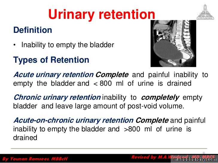 Urology