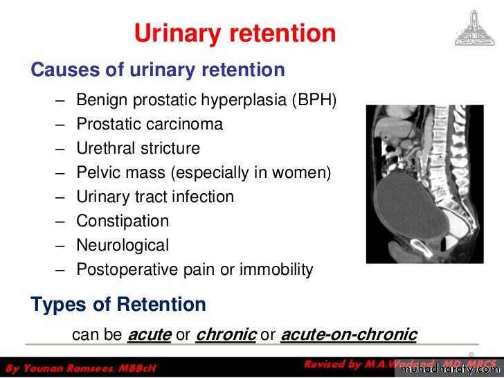 Urology