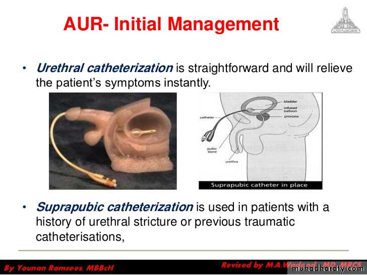 Urology