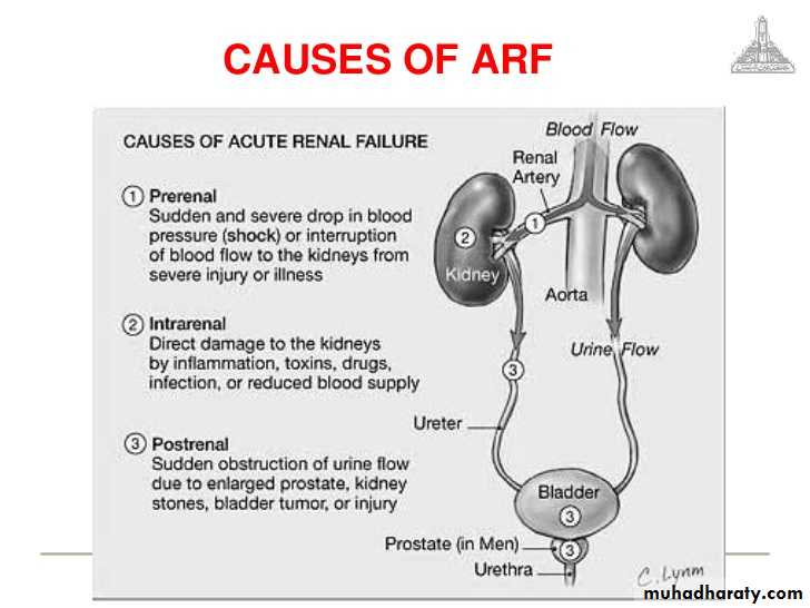 Urology
