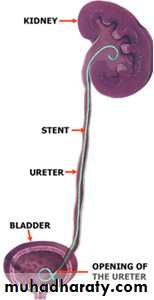 Urology