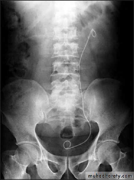 Urology