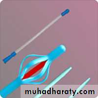 Urology