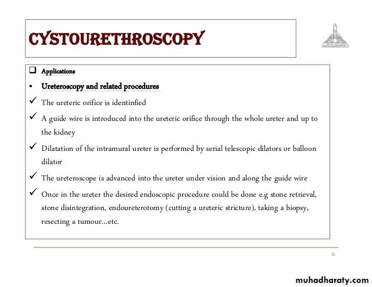 Urology