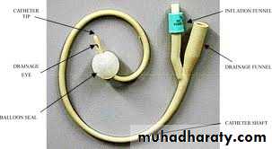 Urology