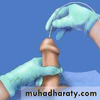 Urology