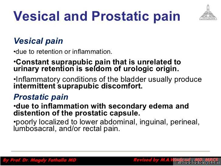 Urology