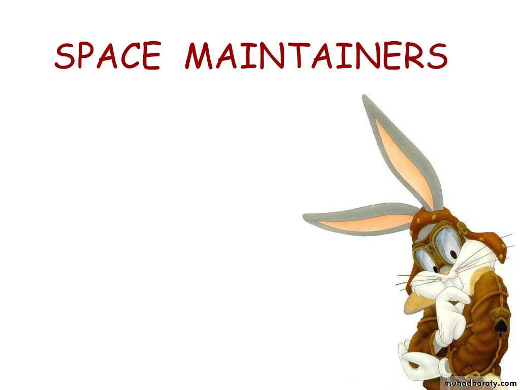 space maintainer
