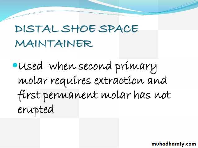 space maintainer