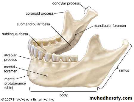 orthognathic surgery