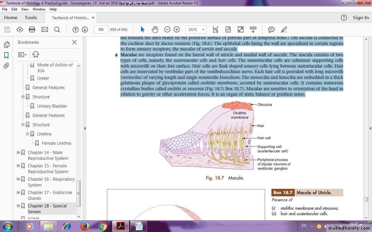 Sense organ Ear I