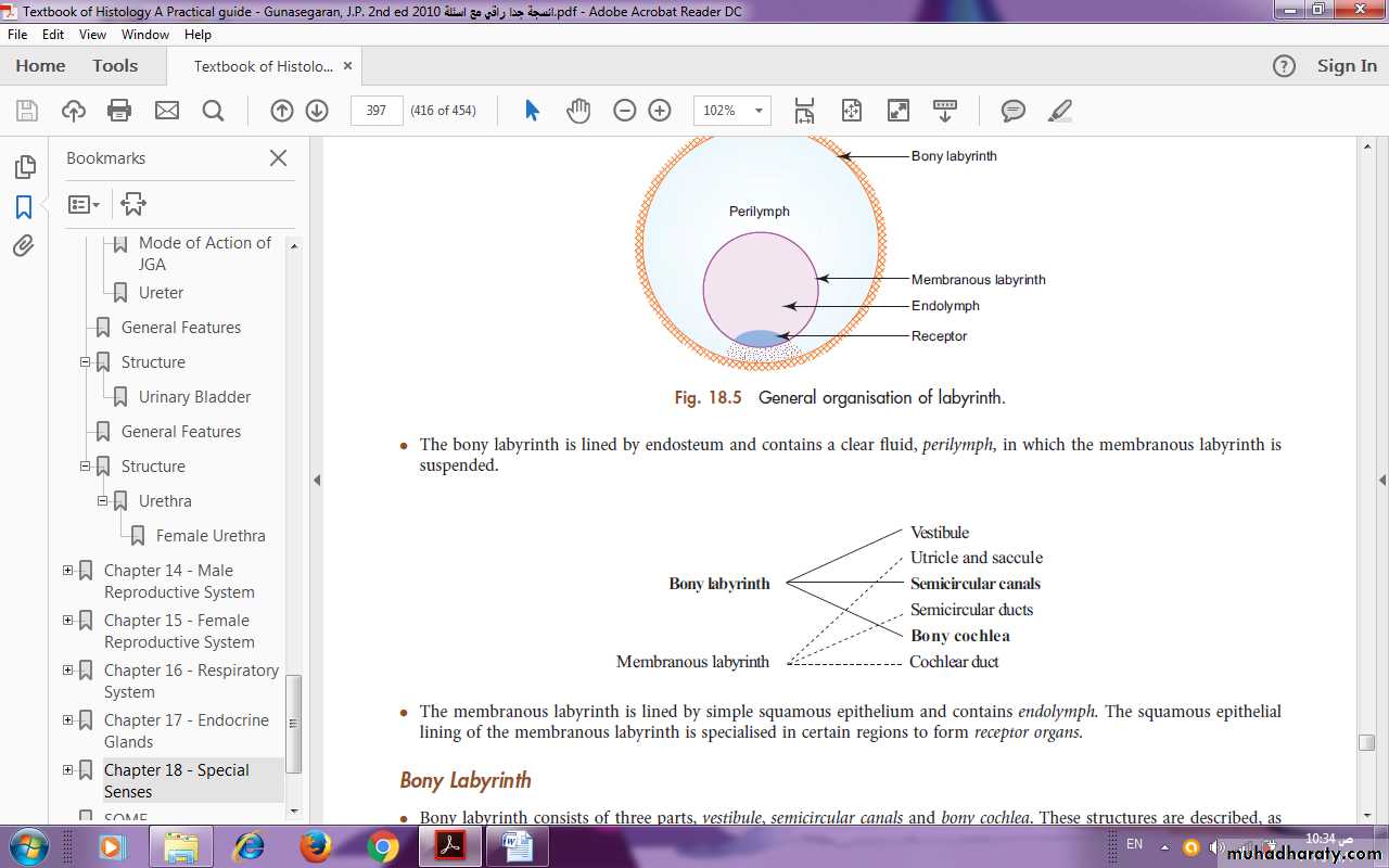 Sense organ Ear I