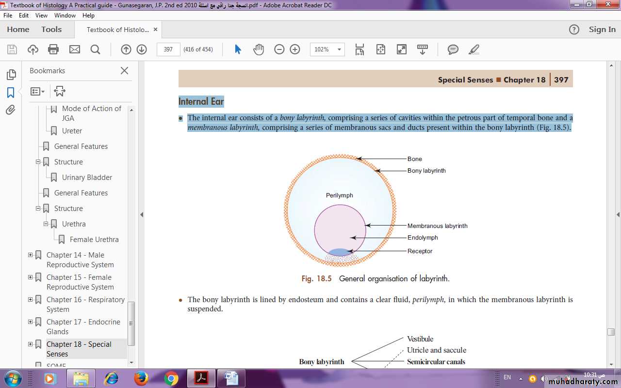 Sense organ Ear I