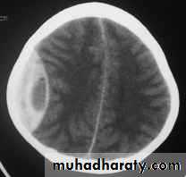 د.عبدالرحمن