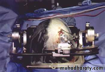 د.عبدالرحمن