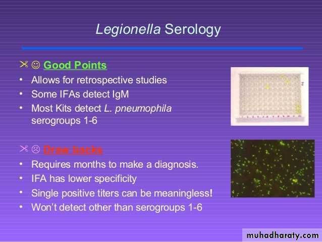 Ligionella