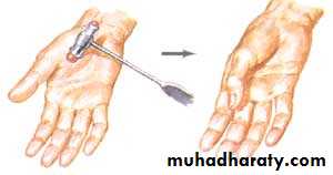 DISEASES OF THE MUSCLES