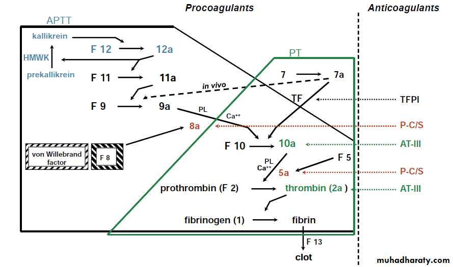 Disorders of Hemostasis