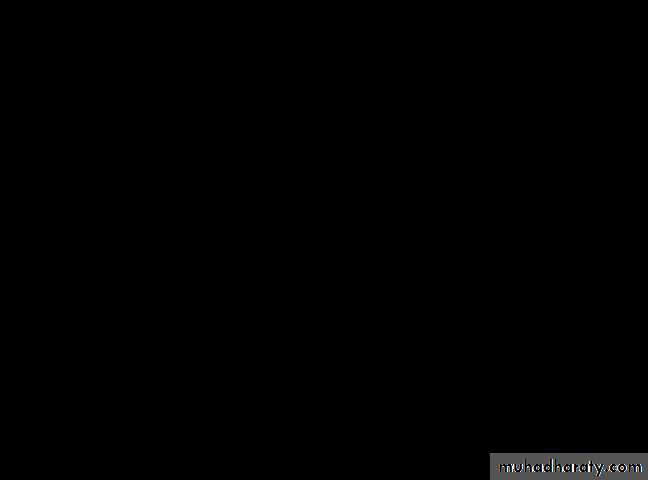 Cardiovascular System ppt