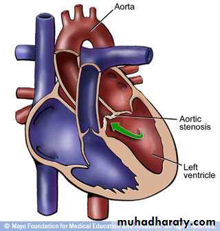 Cardiovascular System ppt