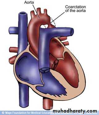 Cardiovascular System ppt