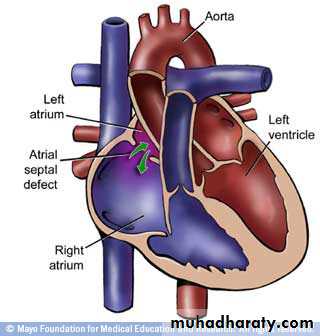 Cardiovascular System ppt