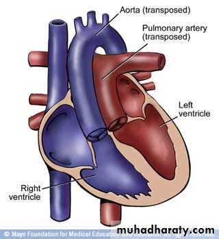 Cardiovascular System ppt