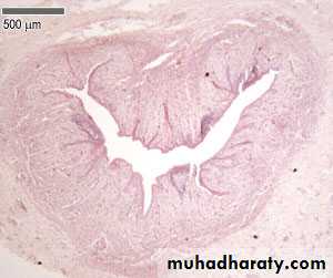 General histo theory