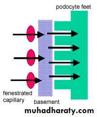 General histo theory