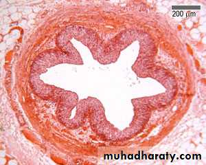 General histo theory