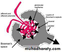 General histo theory