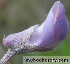 تصنيف 3