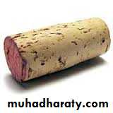 Permanent tissues